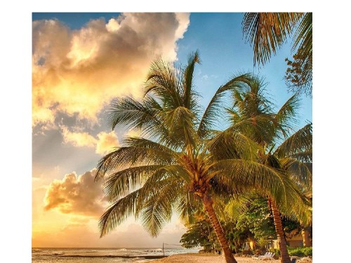  - Основные контакты 04