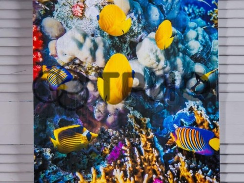 Настінний обігрівач (картина) КОРАЛОВИЙ РИФ (рибки) Тріо Україна - Основні контакти 03