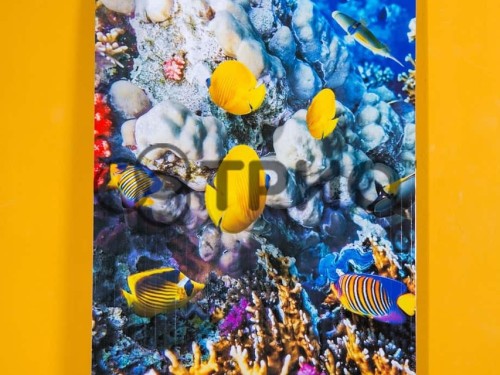 Настінний обігрівач (картина) КОРАЛОВИЙ РИФ (рибки) Тріо Україна - Основні контакти 05