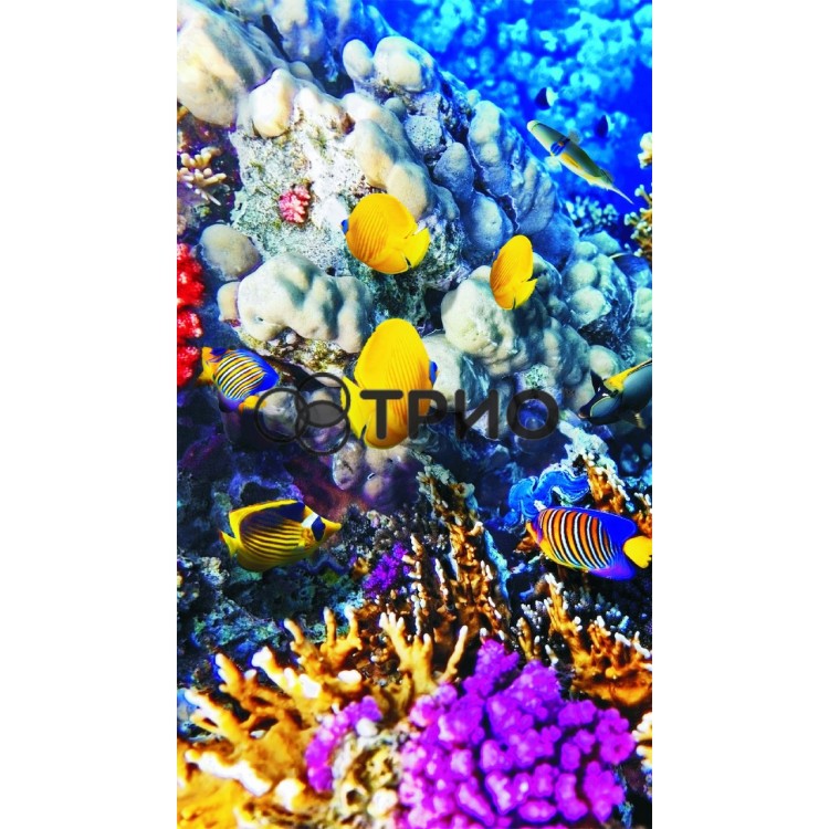 Настінний обігрівач (картина) КОРАЛОВИЙ РИФ (рибки) Тріо Україна - Основні контакти 01 