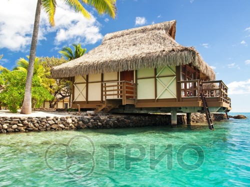 Настінний плівковий нагрівач (картина) БУНГАЛО Тріо Україна - Основні контакти 05