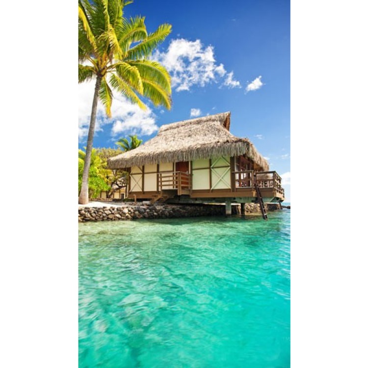 Настінний плівковий нагрівач (картина) БУНГАЛО Тріо Україна - Основні контакти 01 