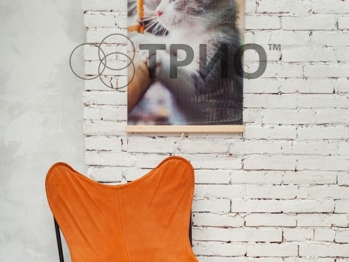 Настенный пленочный обогреватель (картина) КОТЯТА Трио Украина - Основные контакты 03