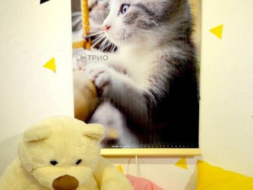 Настенный пленочный обогреватель (картина) КОТЯТА Трио Украина - Основные контакты 05