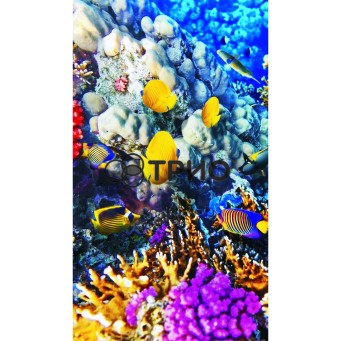 Настінний обігрівач (картина) КОРАЛОВИЙ РИФ (рибки) Тріо Україна - Основні контакти 