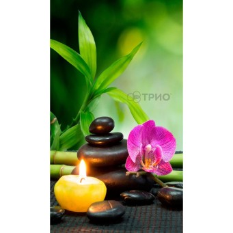 Настенный пленочный обогреватель (картина) ГАРМОНИЯ Трио Украина - Основные контакты 